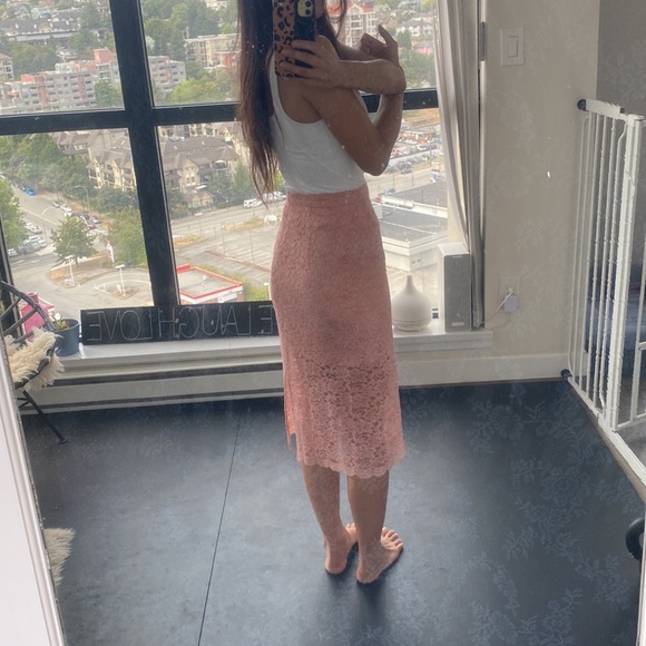 Aritzia Babaton pink lace midi skirt - Picture 12 of 12